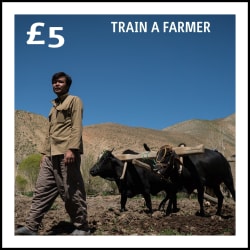 £5: Train a farmer