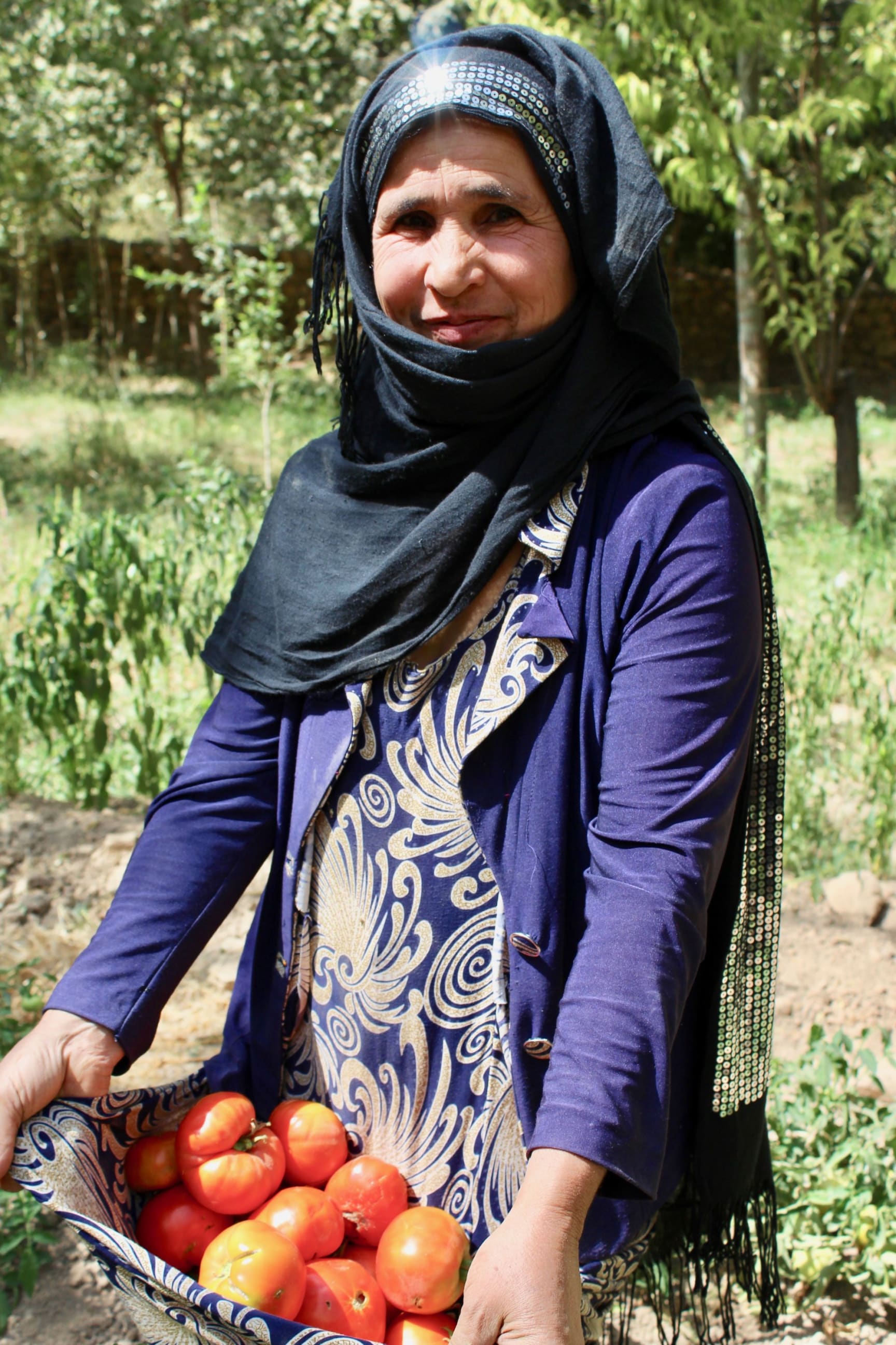 A woman called Sabza is pictured wearing a navy scarf wrapped around her head like a hijab, and a blue jacket. Under the jacket she is wearing a blue tunic with an abstract cream print which she is holding up to create a basket for some red tomatoes. Sabza is half-smiling at the camera against a background of green vegetation and trees.
