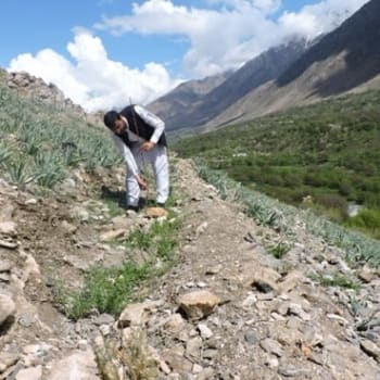 Afghanaid works to strengthen communities and mitigate the effects of climate change