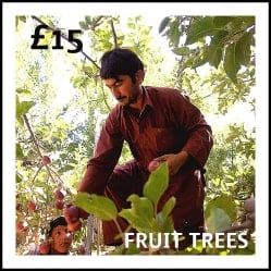 £15: fruit trees