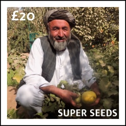 £20: Super seeds