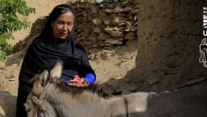 Five ways supporting women to care for their livestock can help families